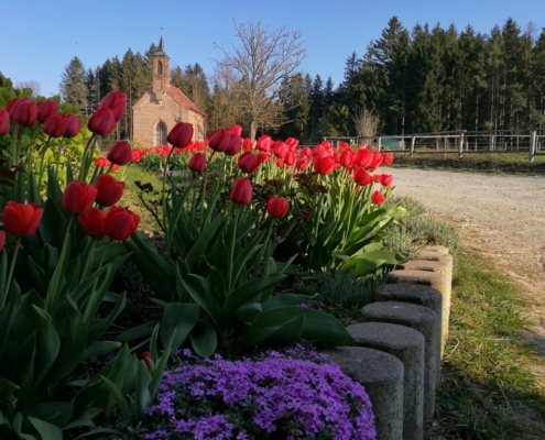 Der Frühling ist da.